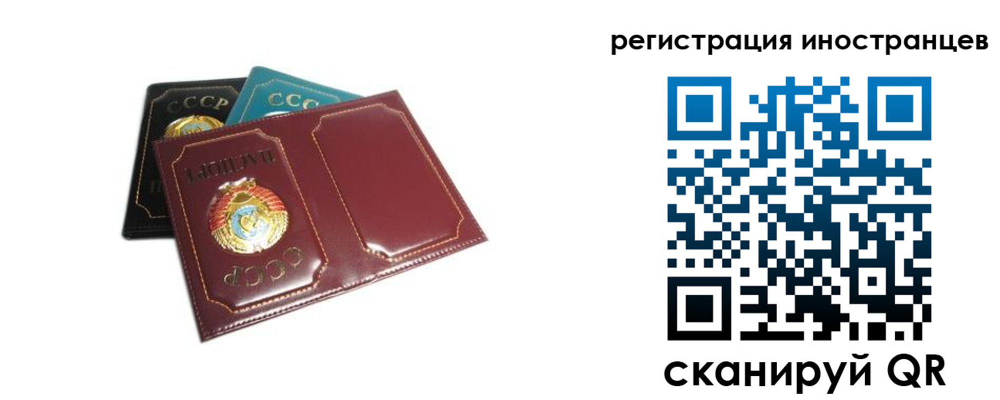 прописка законно в Солнечногорске